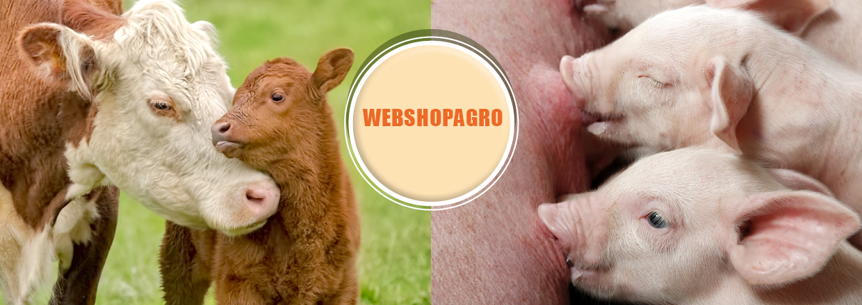 Se vores hele vores produkt sortiment