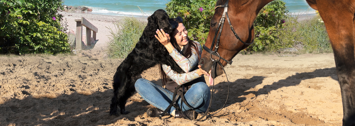 Se vores sortiment til heste & hunde