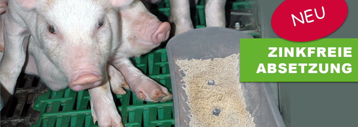 Finden Sie unser produkt hier