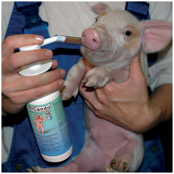 BiCando Gel 6 fl.  250 ml<br>(GRATIS FRAGT)