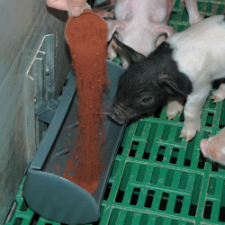 FerkoFer<br>(GRATIS FRAGT)