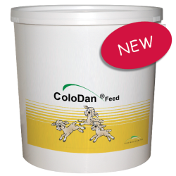 Colodan Feed Lam
