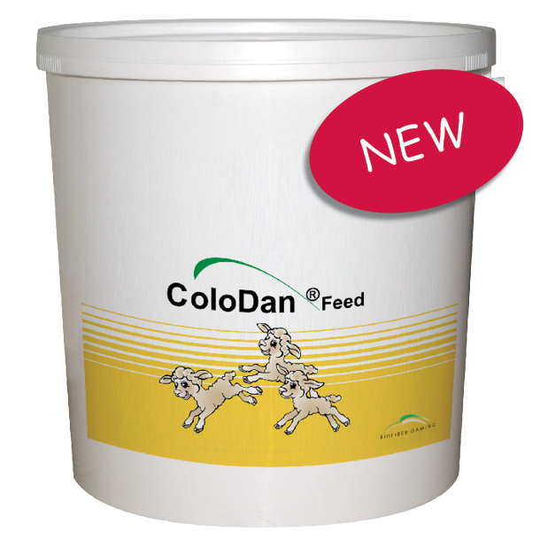 Colodan Feed Lam <br> (GRATIS FRAGT) 